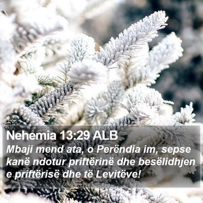 Nehemia 13:29 ALB Bible Verse Image