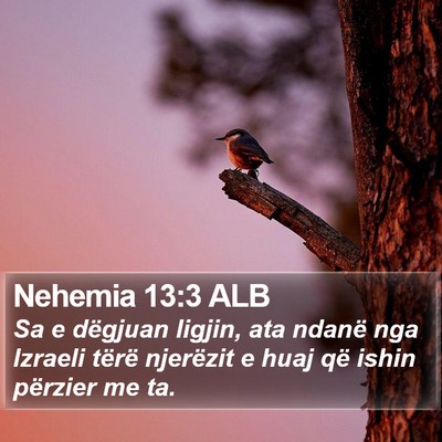 Nehemia 13:3 ALB Bible Verse Image