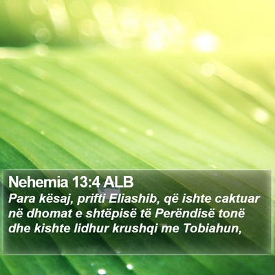 Nehemia 13:4 ALB Bible Verse Image