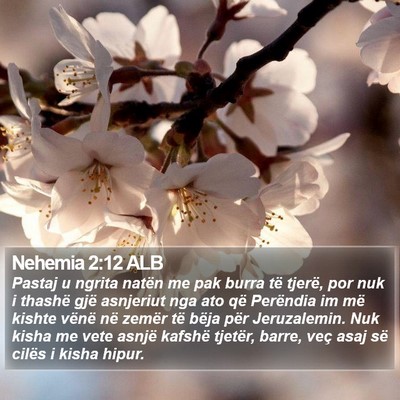 Nehemia 2:12 ALB Bible Verse Image