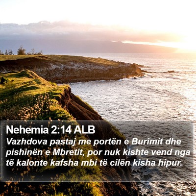 Nehemia 2:14 ALB Bible Verse Image