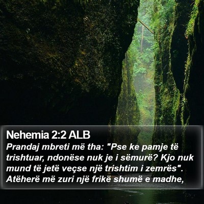 Nehemia 2:2 ALB Bible Verse Image
