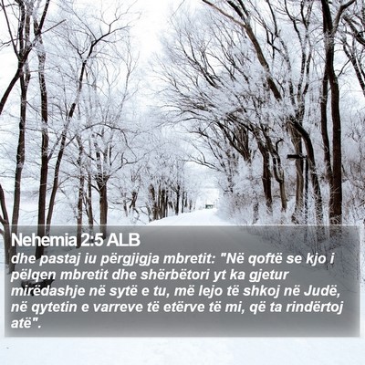 Nehemia 2:5 ALB Bible Verse Image