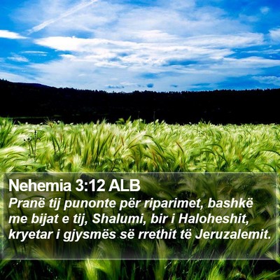 Nehemia 3:12 ALB Bible Verse Image