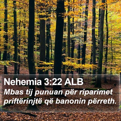 Nehemia 3:22 ALB Bible Verse Image
