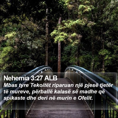 Nehemia 3:27 ALB Bible Verse Image