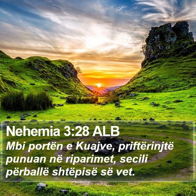 Nehemia 3:28 ALB Bible Verse Image