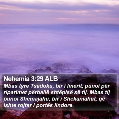 Nehemia 3:29 ALB Bible Verse Image