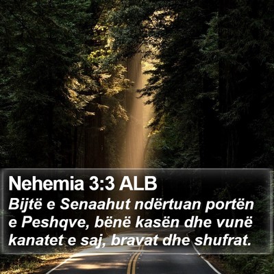 Nehemia 3:3 ALB Bible Verse Image