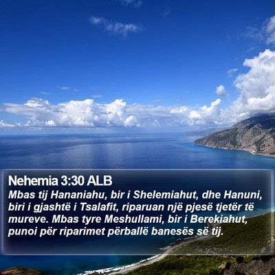 Nehemia 3:30 ALB Bible Verse Image