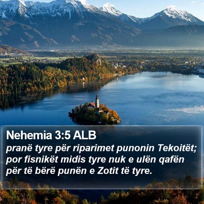 Nehemia 3:5 ALB Bible Verse Image