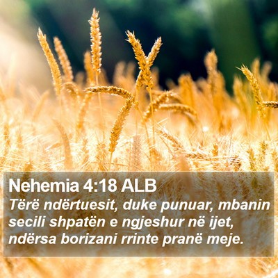 Nehemia 4:18 ALB Bible Verse Image