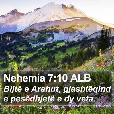 Nehemia 7:10 ALB Bible Verse Image