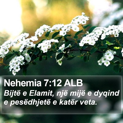 Nehemia 7:12 ALB Bible Verse Image