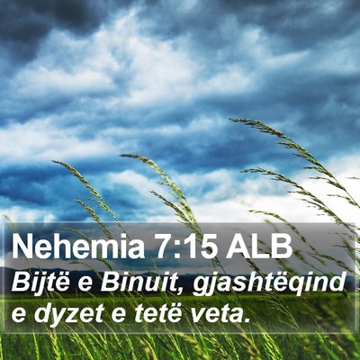 Nehemia 7:15 ALB Bible Verse Image