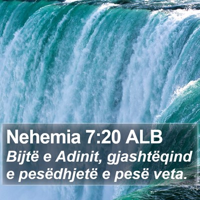 Nehemia 7:20 ALB Bible Verse Image