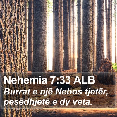 Nehemia 7:33 ALB Bible Verse Image