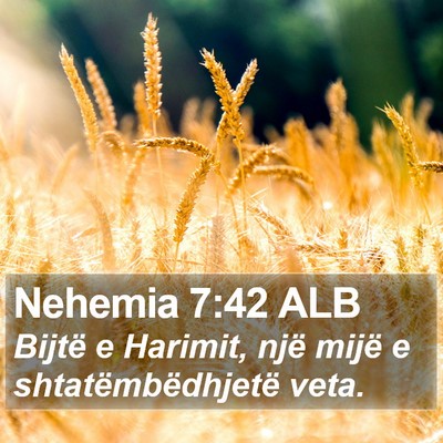 Nehemia 7:42 ALB Bible Verse Image