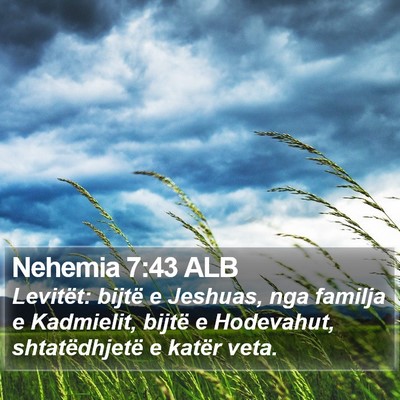 Nehemia 7:43 ALB Bible Verse Image