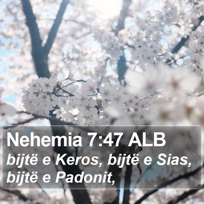 Nehemia 7:47 ALB Bible Verse Image