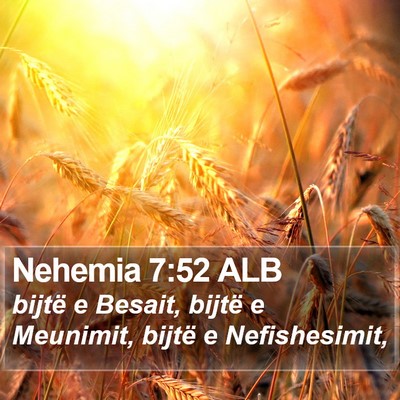 Nehemia 7:52 ALB Bible Verse Image