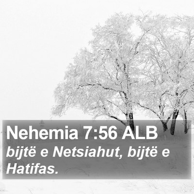 Nehemia 7:56 ALB Bible Verse Image