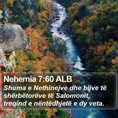 Nehemia 7:60 ALB Bible Verse Image
