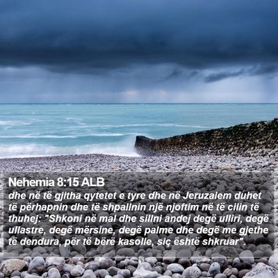 Nehemia 8:15 ALB Bible Verse Image