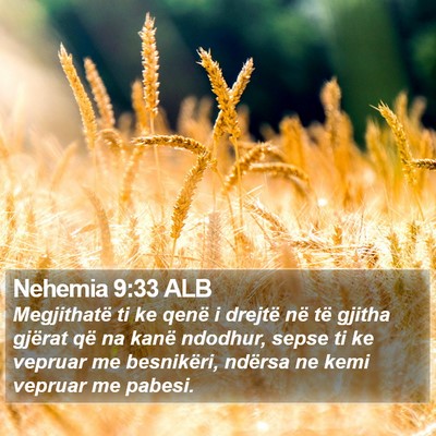 Nehemia 9:33 ALB Bible Verse Image