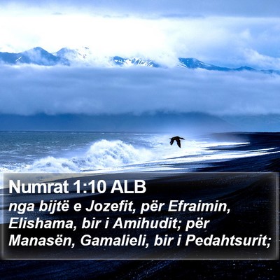 Numrat 1:10 ALB Bible Verse Image