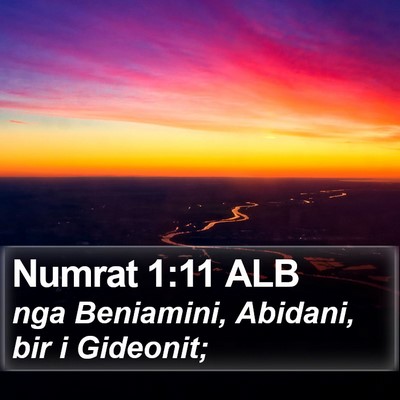 Numrat 1:11 ALB Bible Verse Image