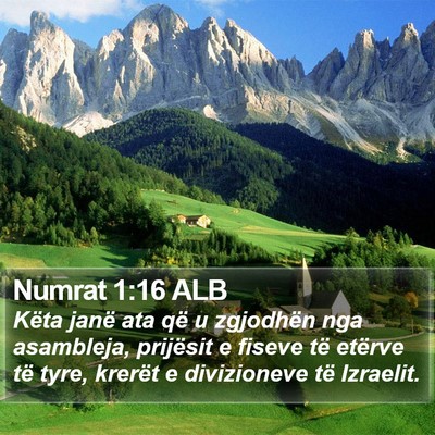 Numrat 1:16 ALB Bible Verse Image