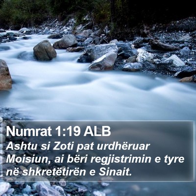 Numrat 1:19 ALB Bible Verse Image