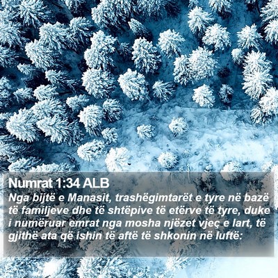 Numrat 1:34 ALB Bible Verse Image
