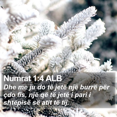 Numrat 1:4 ALB Bible Verse Image