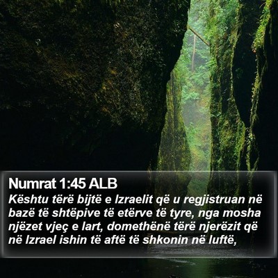 Numrat 1:45 ALB Bible Verse Image