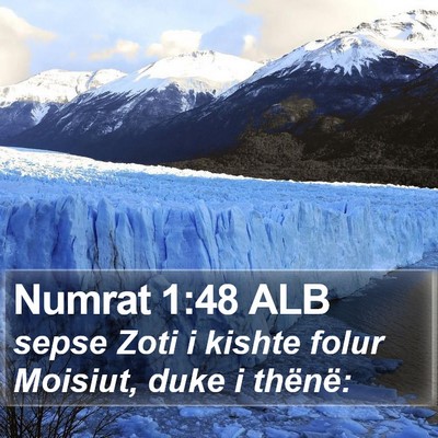 Numrat 1:48 ALB Bible Verse Image