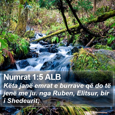 Numrat 1:5 ALB Bible Verse Image