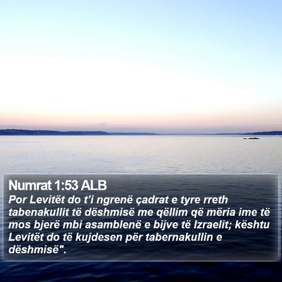 Numrat 1:53 ALB Bible Verse Image