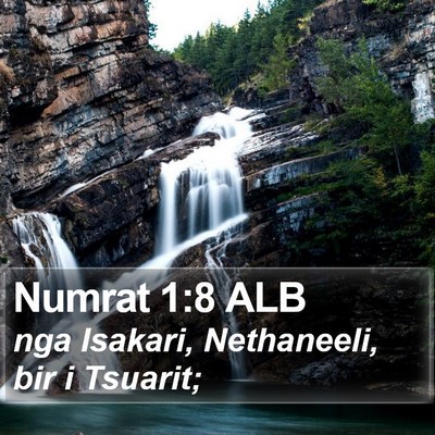 Numrat 1:8 ALB Bible Verse Image