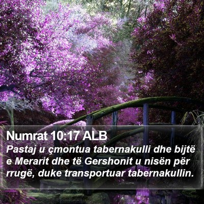 Numrat 10:17 ALB Bible Verse Image