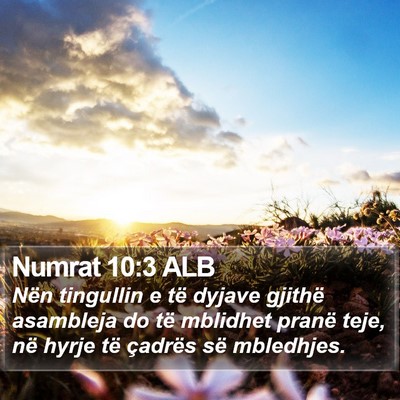 Numrat 10:3 ALB Bible Verse Image