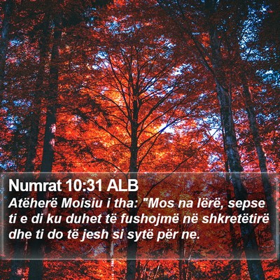 Numrat 10:31 ALB Bible Verse Image