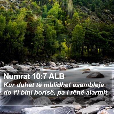 Numrat 10:7 ALB Bible Verse Image