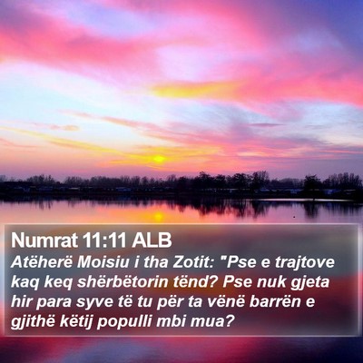 Numrat 11:11 ALB Bible Verse Image