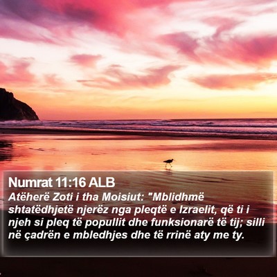 Numrat 11:16 ALB Bible Verse Image