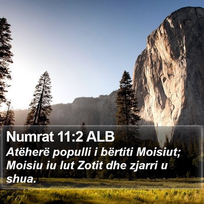 Numrat 11:2 ALB Bible Verse Image