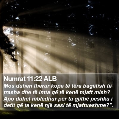 Numrat 11:22 ALB Bible Verse Image