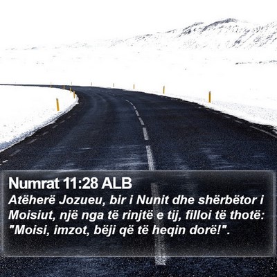 Numrat 11:28 ALB Bible Verse Image