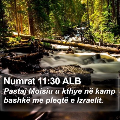 Numrat 11:30 ALB Bible Verse Image